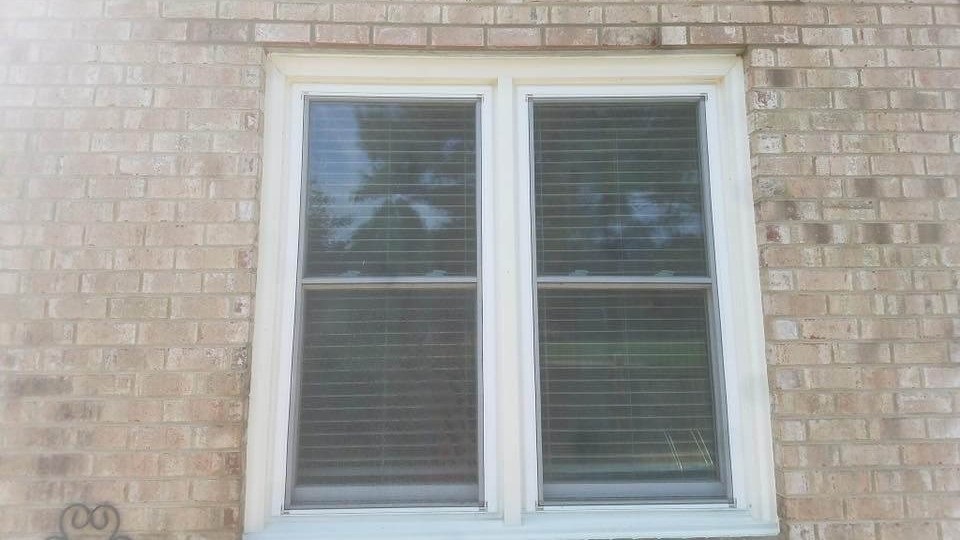 Window with Blinds